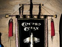 Corvus Corax 042